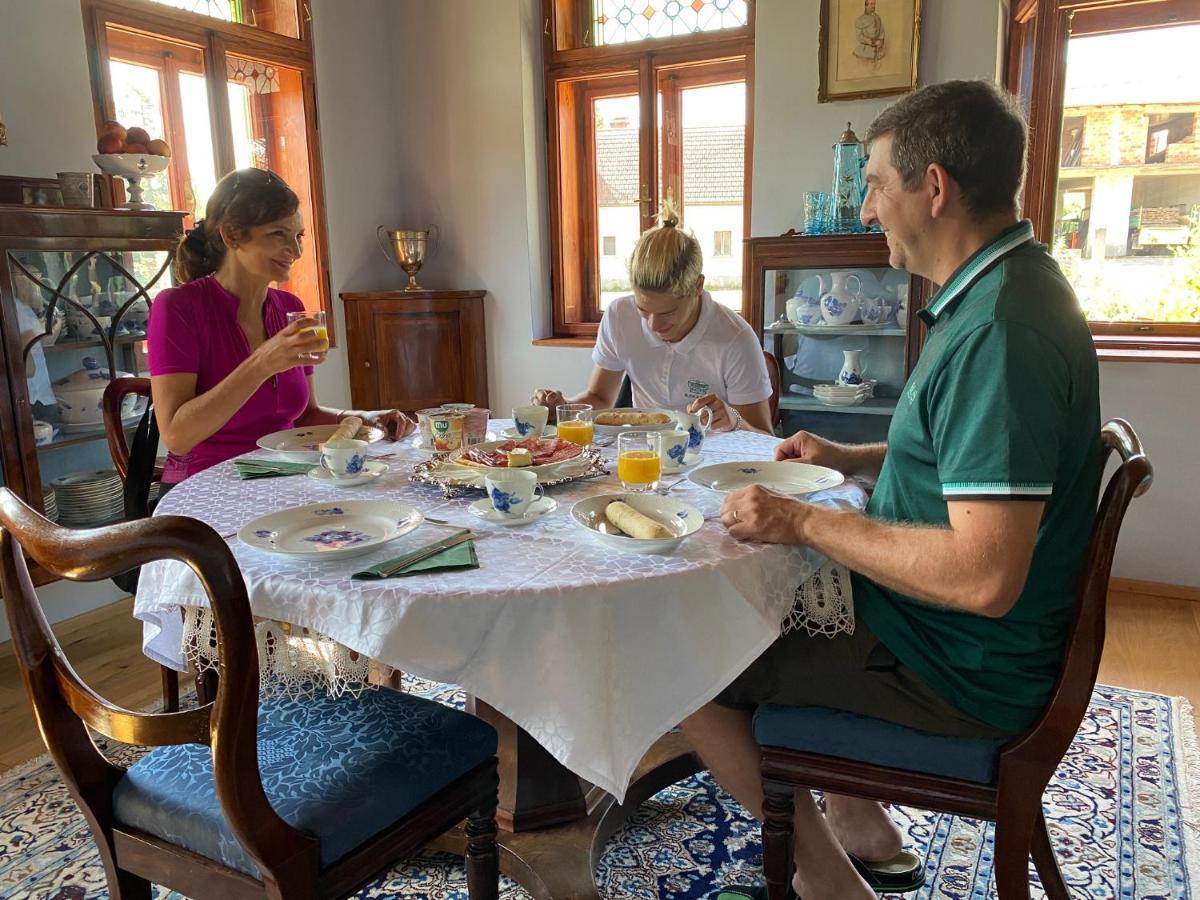 Villa Ruska Daca Ljubljana Dış mekan fotoğraf