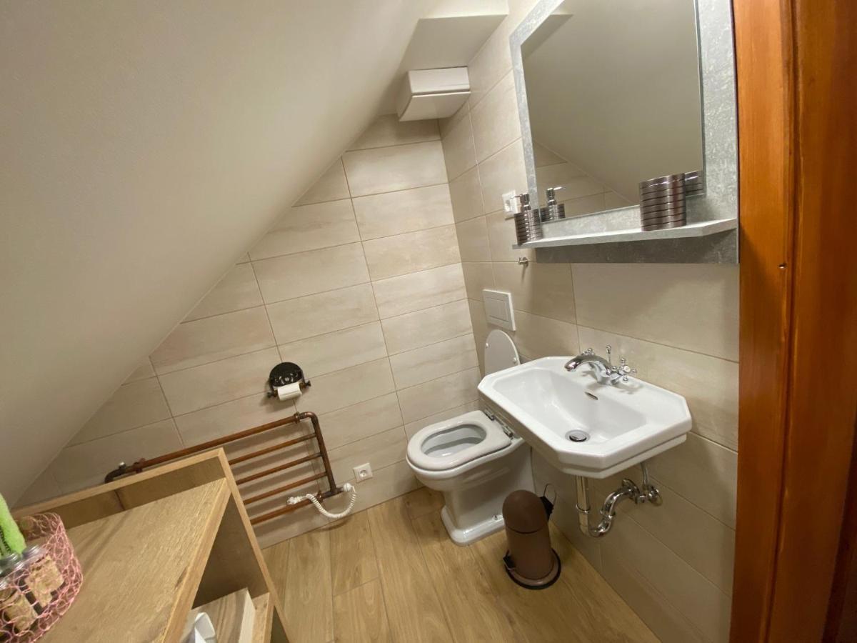 Villa Ruska Daca Ljubljana Dış mekan fotoğraf